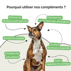 Complément Articulations