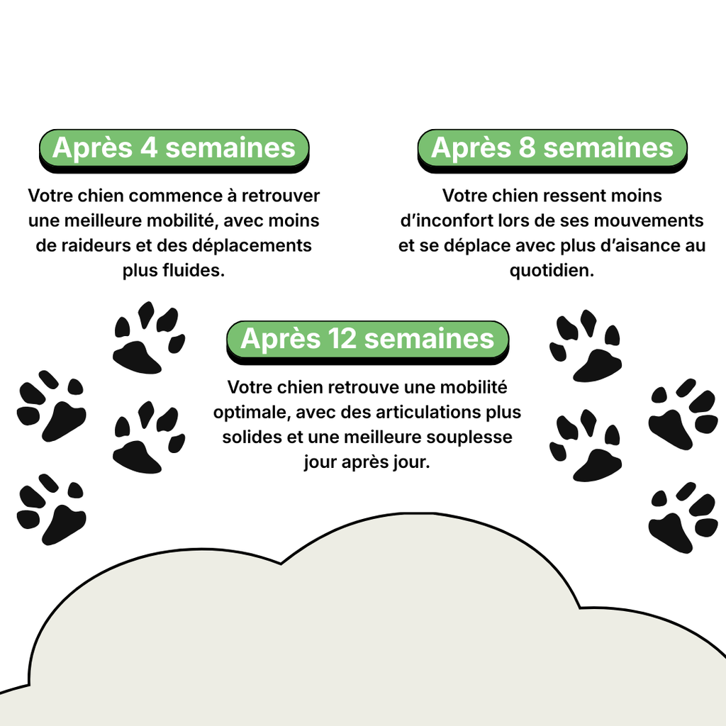 Complément Articulations