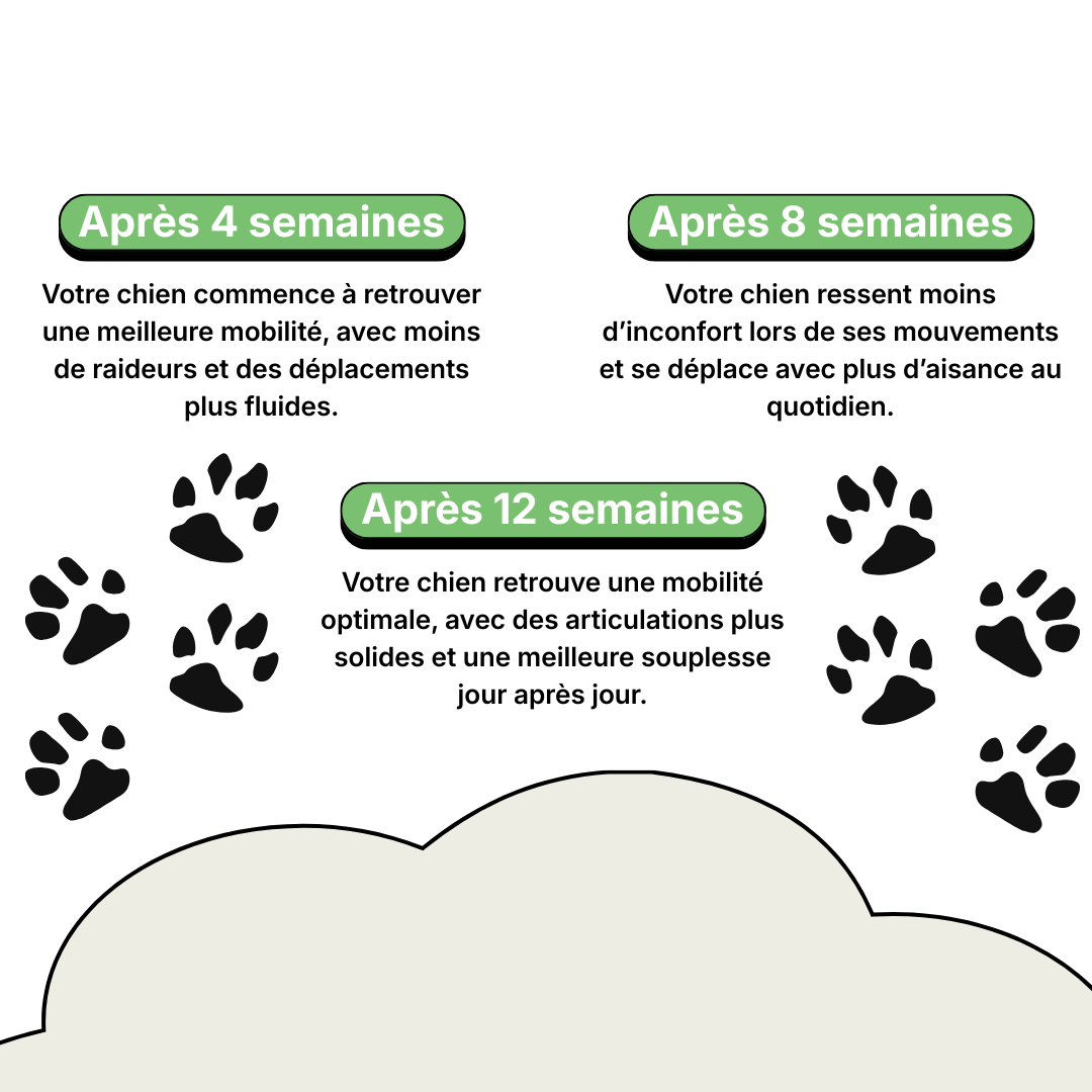 Complément Articulations