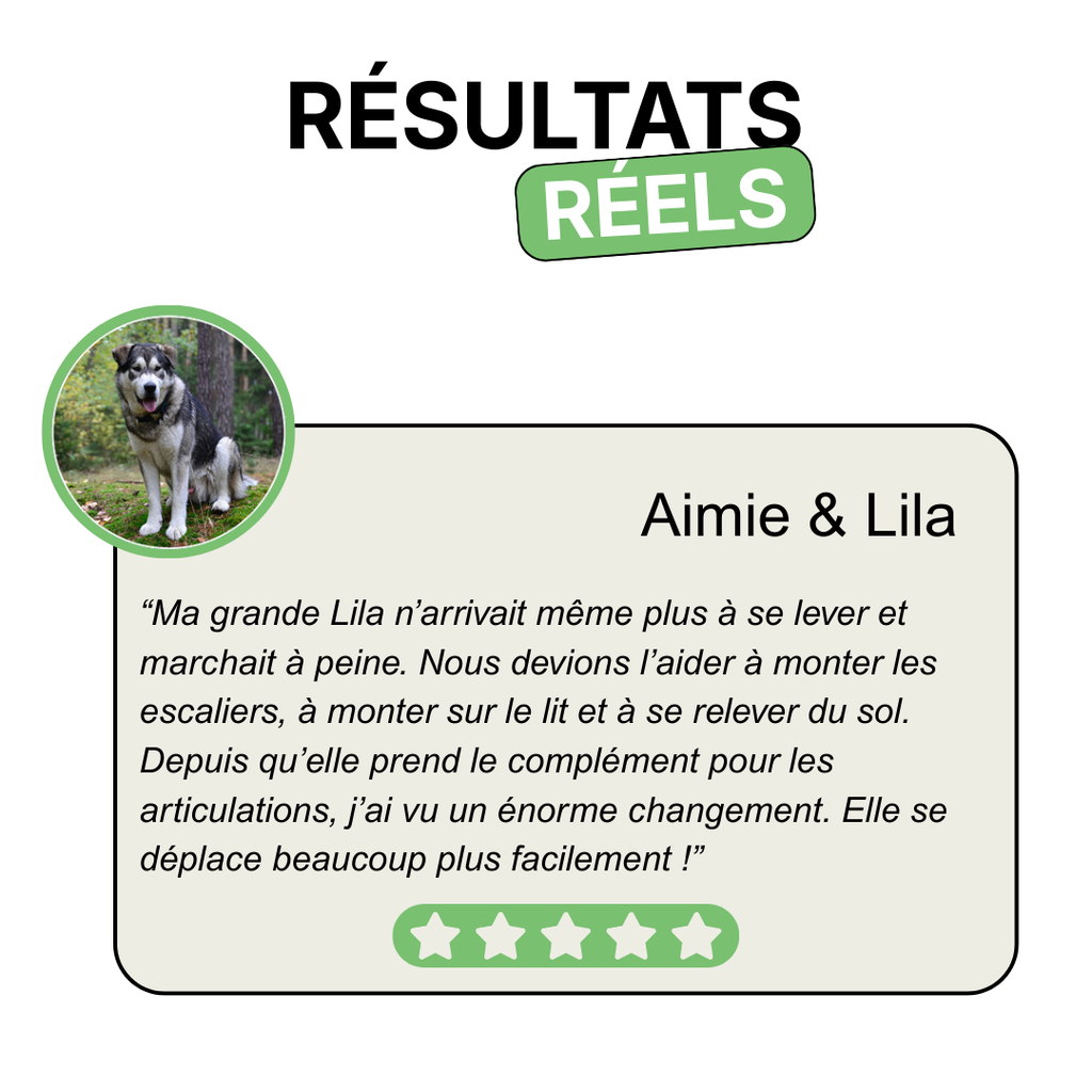 Complément Articulations