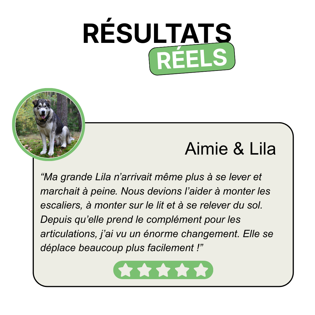 Complément Articulations