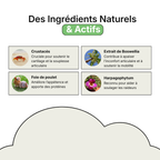 Complément Articulations