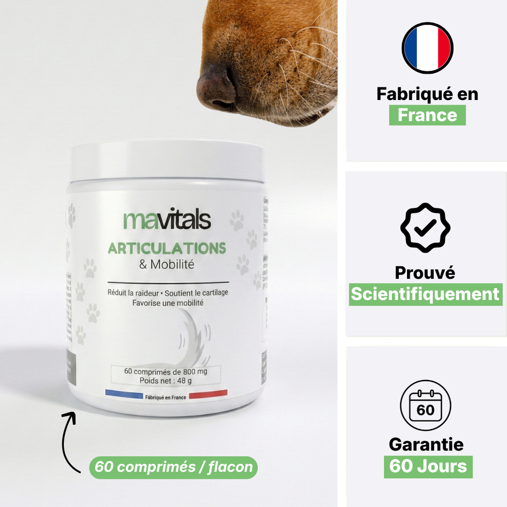 Complément Articulations