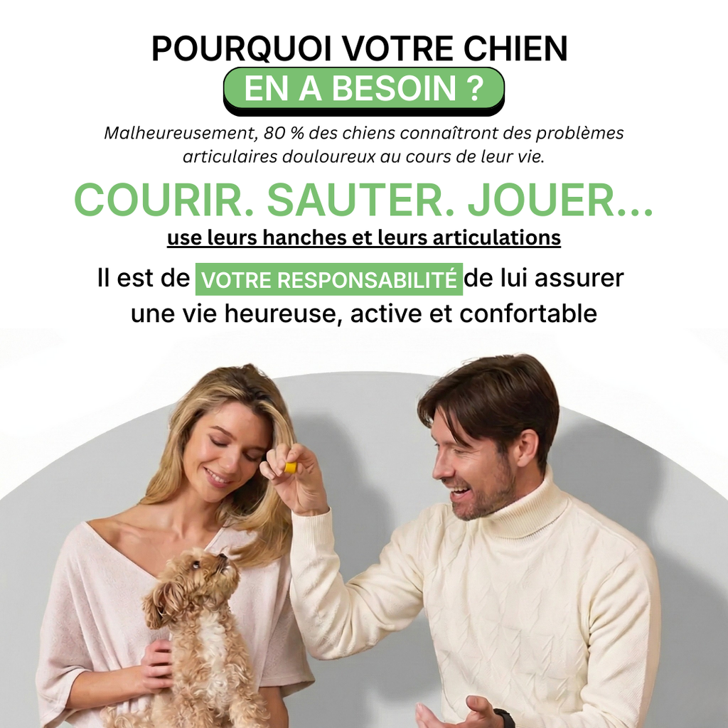 Complément Articulations