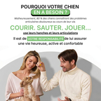 Complément Articulations