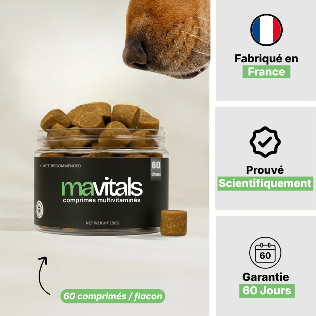 Complément Naturelles Multivitaminés
