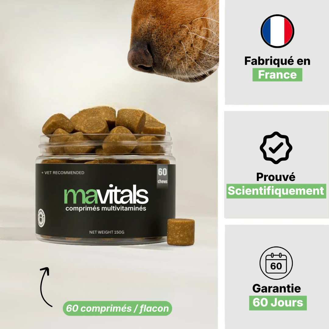 Complément Naturelles Multivitaminés