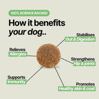 Complément Naturelles Multivitaminés